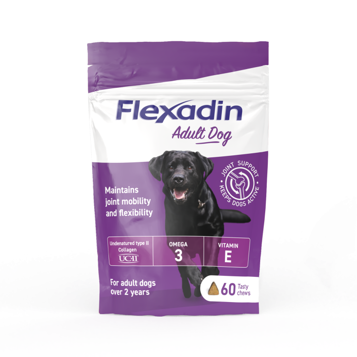 Flexadin® Adult Dog Vetoquinol